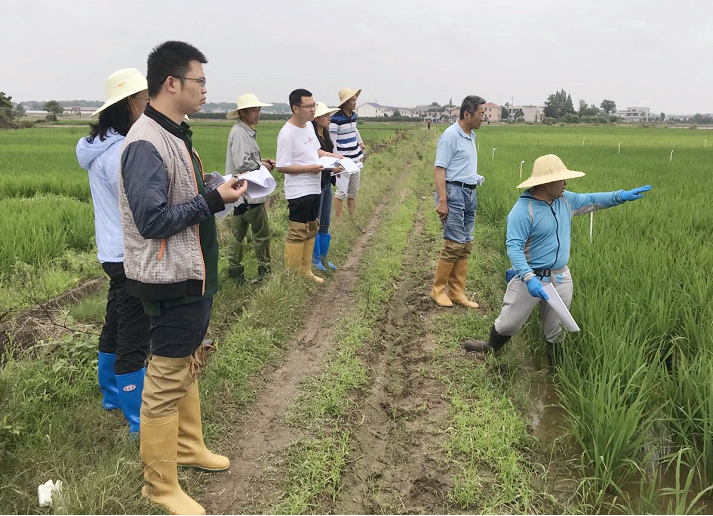 �������ǲ���������������Ʒӭ���������ִ�