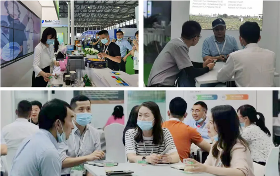 �������ǲ����ʲ�չ�ڶ�ʮ�������ũ�û�ѧƷ��ֲ��չ��