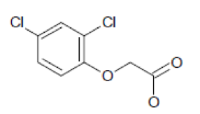 1539147299907736.png 2.png