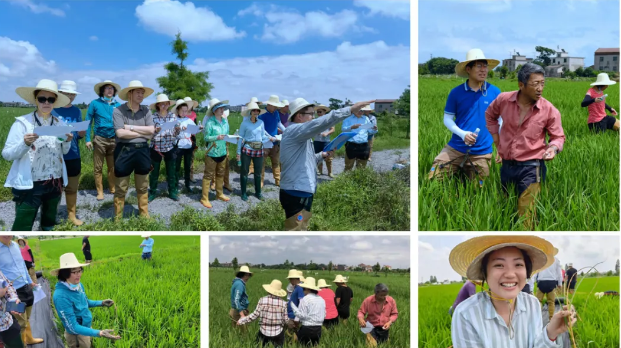 1625560289666991.png 1625560261(1).png