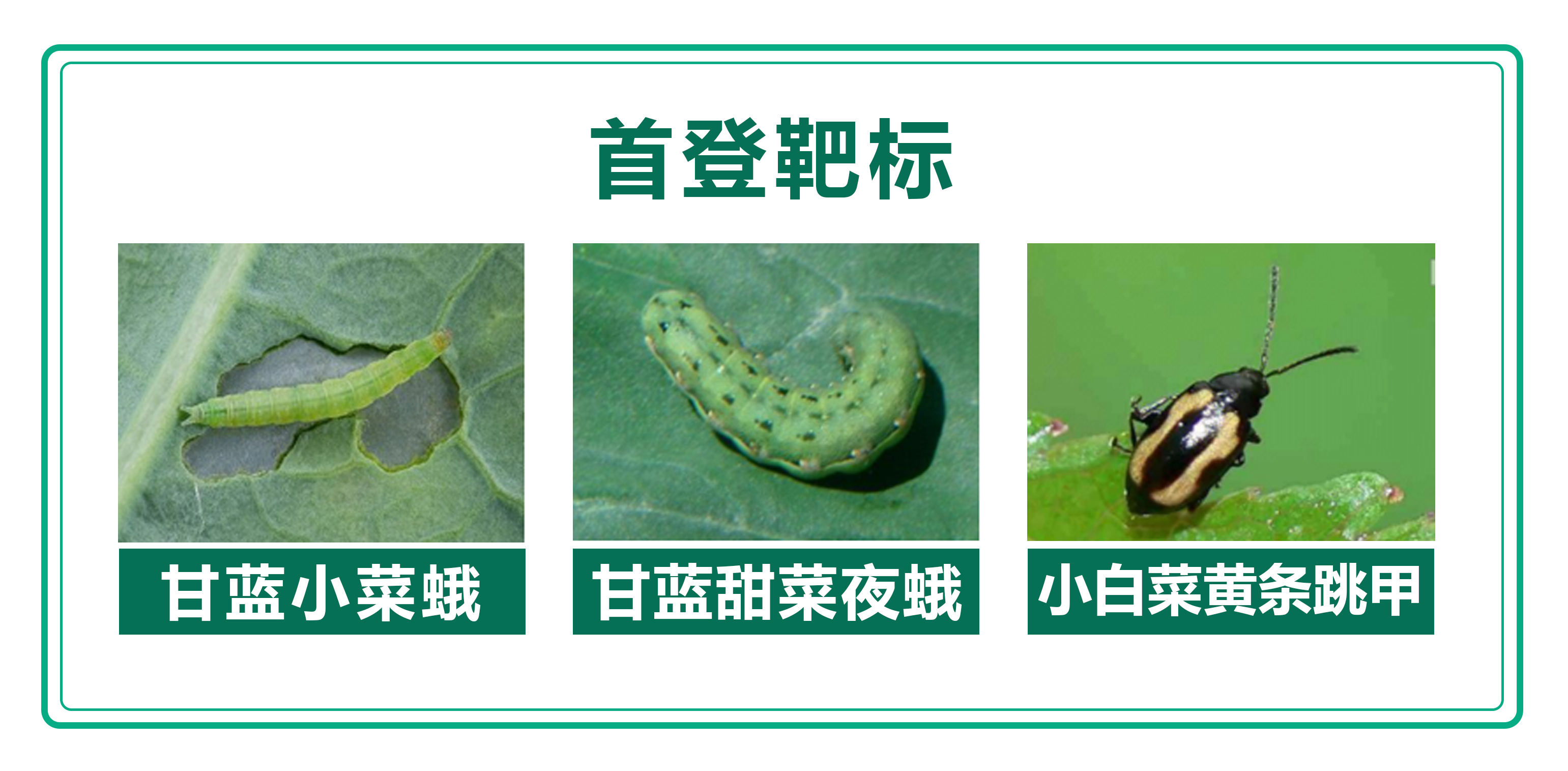 1760280696743877.png »·±ûÊ׵ǰбê.png