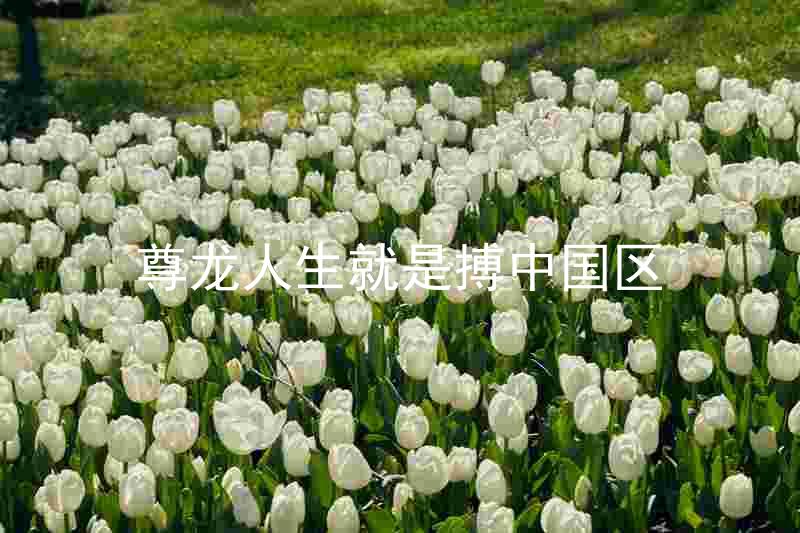 尊龙人生就是搏中国区