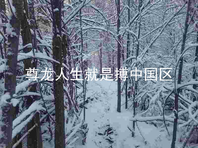 尊龙人生就是搏中国区