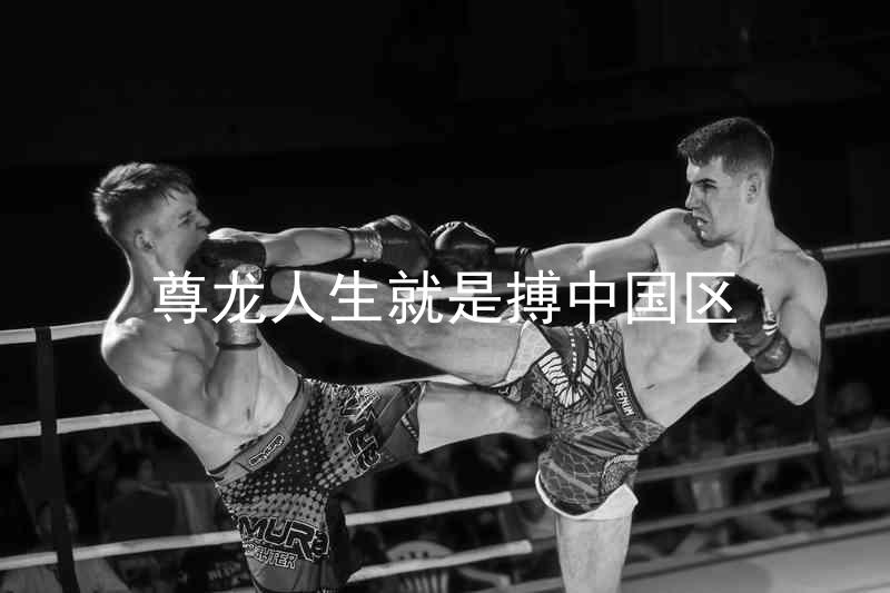 尊龙人生就是搏中国区