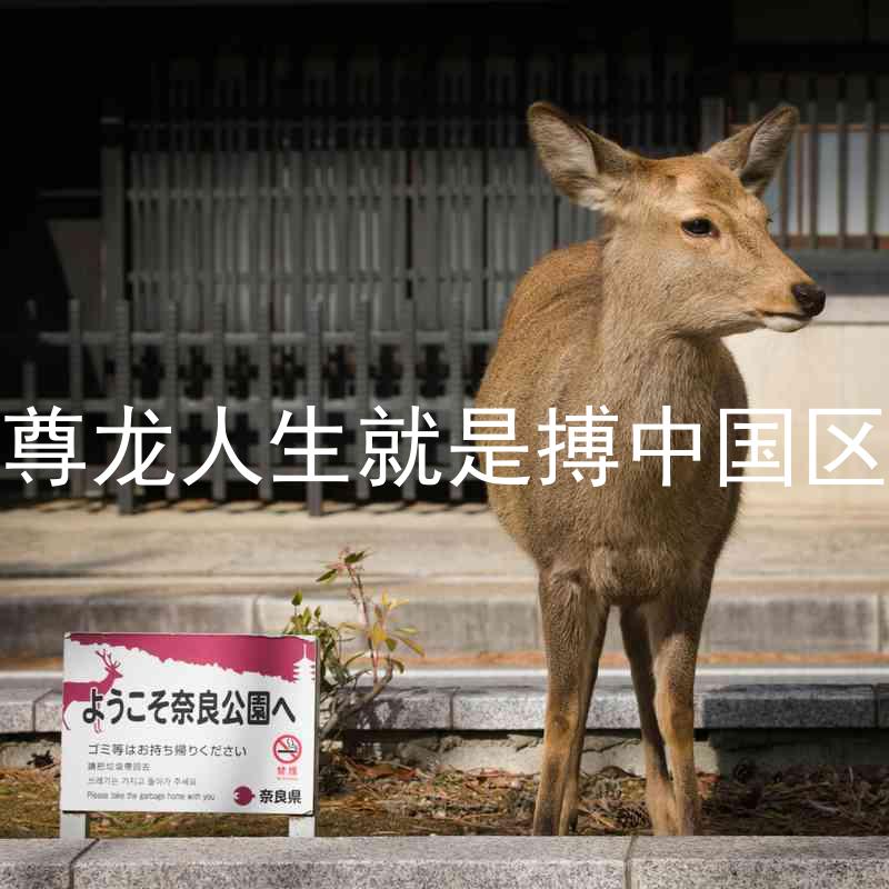 尊龙人生就是搏中国区