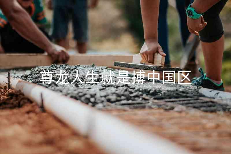 尊龙人生就是搏中国区