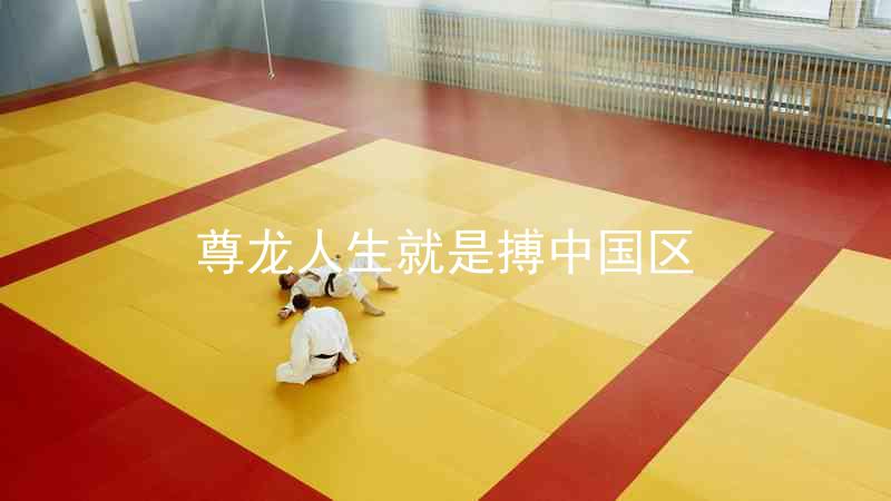 尊龙人生就是搏中国区