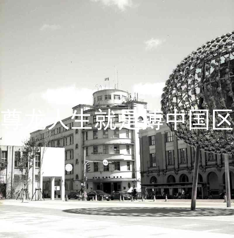尊龙人生就是搏中国区